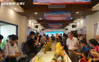 遂溪新闻爆料最新消息,最新爆料揭示惊人真相！